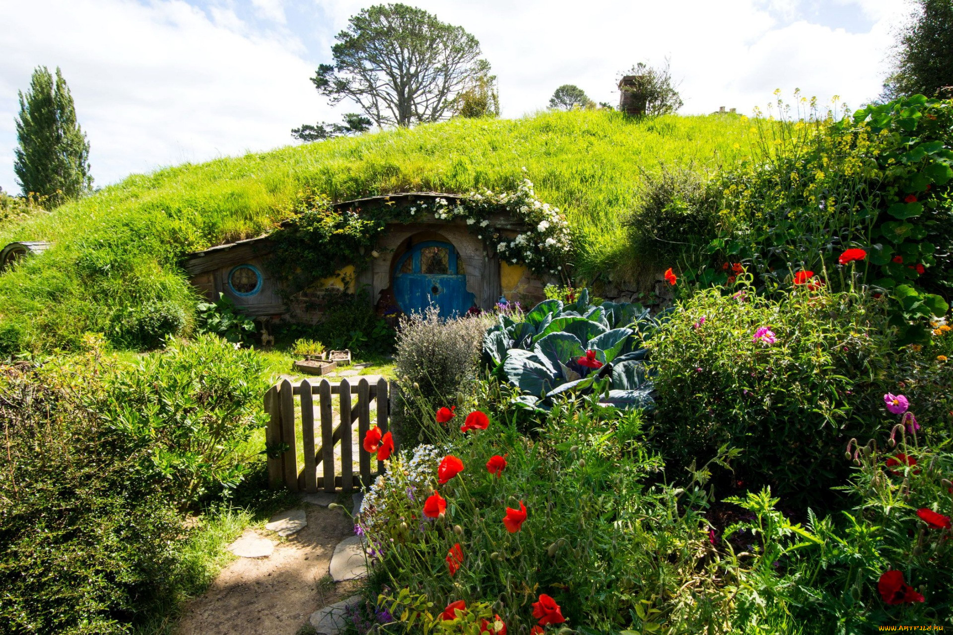 , - ,  , new, zealand, matamata, hobbiton, park